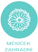 mesicek